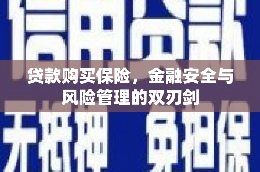 南州贷款购买保险，金融安全与风险管理的双刃剑
