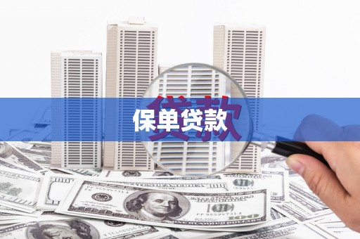 南州保单贷款