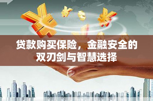 南州贷款购买保险，金融安全的双刃剑与智慧选择