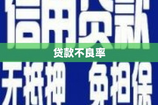 南州贷款不良率