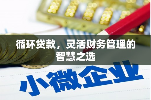 南州循环贷款，灵活财务管理的智慧之选