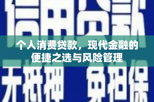南州个人消费贷款，现代金融的便捷之选与风险管理