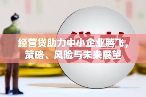 南州经营贷助力中小企业腾飞，策略、风险与未来展望
