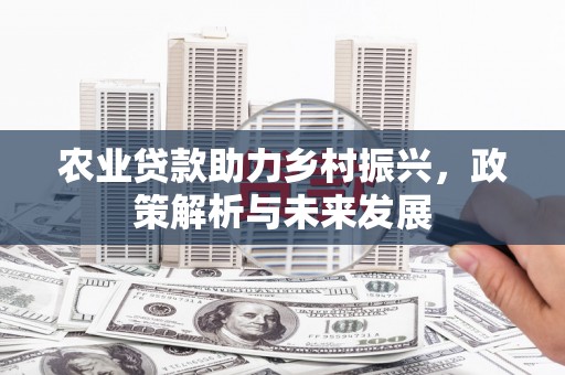 南州农业贷款助力乡村振兴，政策解析与未来发展