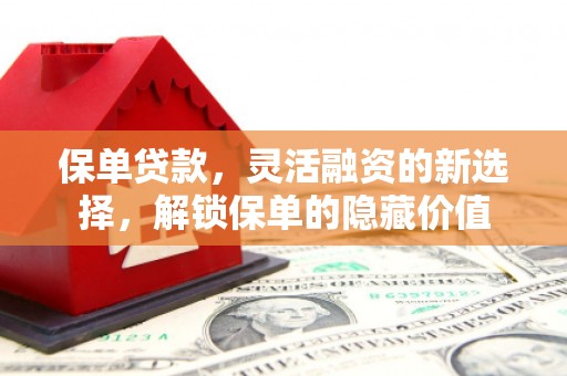 南州保单贷款，灵活融资的新选择，解锁保单的隐藏价值
