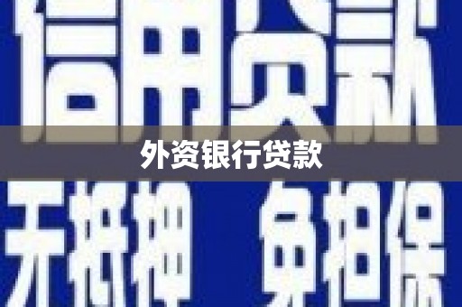 南州外资银行贷款