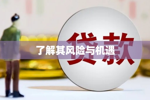 南州了解其风险与机遇