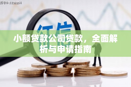 南州小额贷款公司贷款，全面解析与申请指南