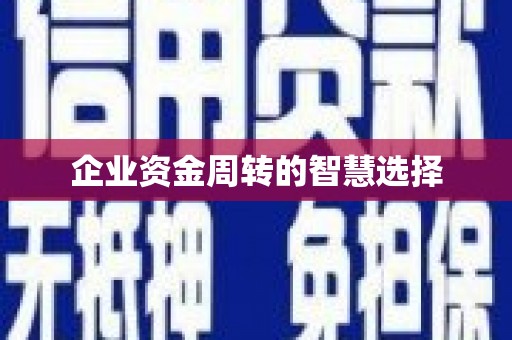 南州企业资金周转的智慧选择