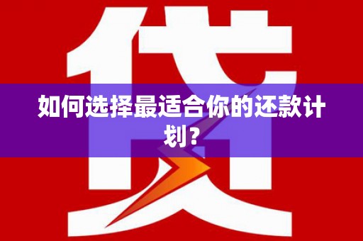 南州如何选择最适合你的还款计划？