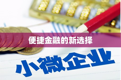 南州便捷金融的新选择