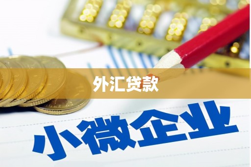 南州外汇贷款