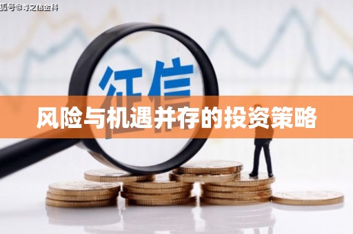 南州风险与机遇并存的投资策略