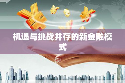 南州机遇与挑战并存的新金融模式