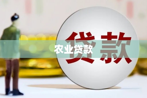 南州农业贷款