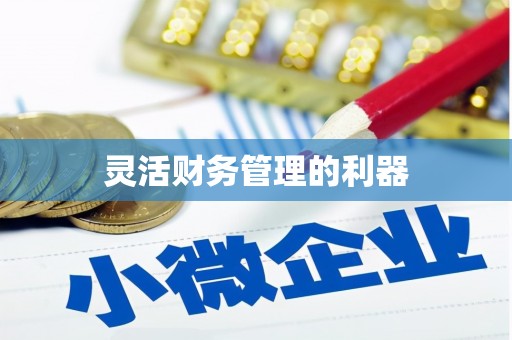 南州灵活财务管理的利器