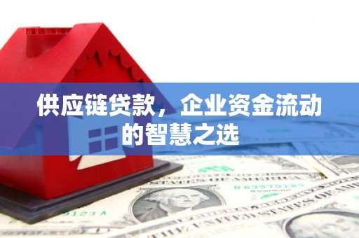 南州供应链贷款，企业资金流动的智慧之选