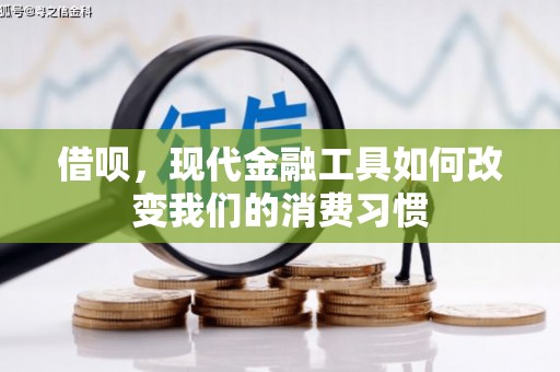 南州借呗，现代金融工具如何改变我们的消费习惯