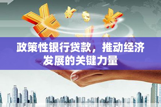 南州政策性银行贷款，推动经济发展的关键力量