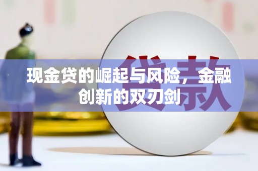 南州现金贷的崛起与风险，金融创新的双刃剑