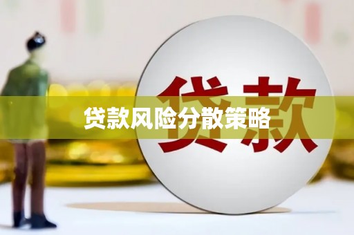 南州贷款风险分散策略