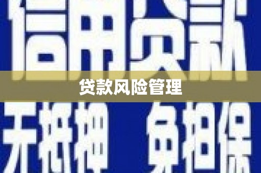 南州贷款风险管理