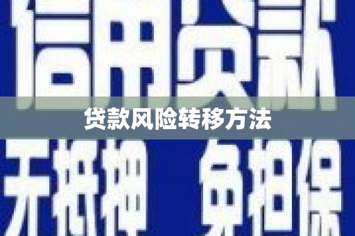 南州贷款风险转移方法