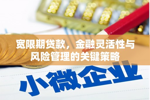 南州宽限期贷款，金融灵活性与风险管理的关键策略