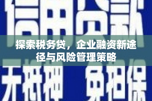 南州探索税务贷，企业融资新途径与风险管理策略