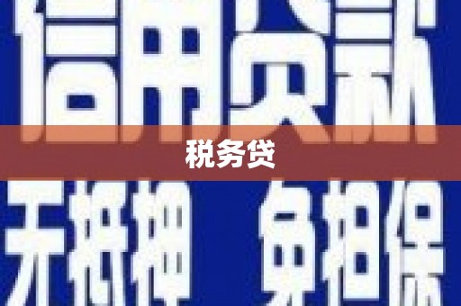 南州税务贷