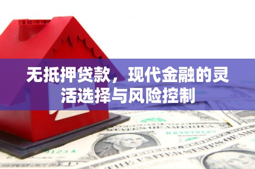 南州无抵押贷款，现代金融的灵活选择与风险控制