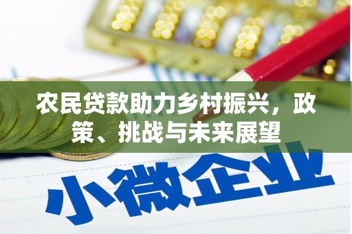 南州农民贷款助力乡村振兴，政策、挑战与未来展望