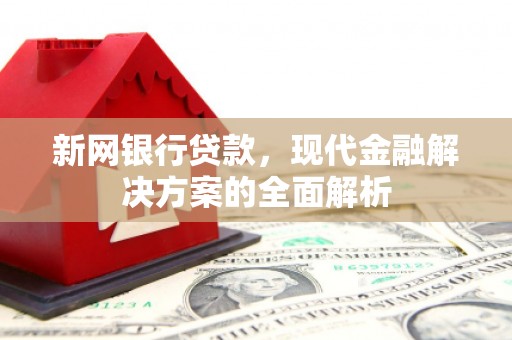 南州新网银行贷款，现代金融解决方案的全面解析