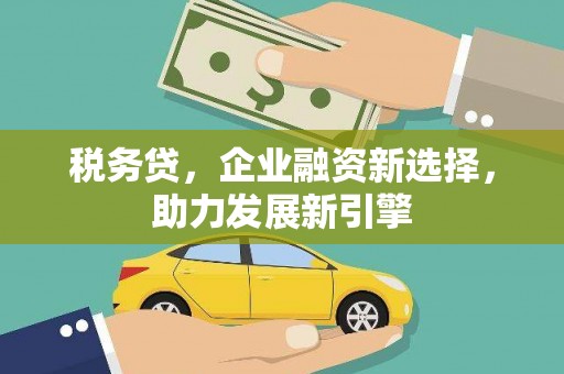 南州税务贷，企业融资新选择，助力发展新引擎