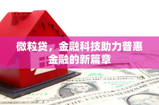 南州微粒贷，金融科技助力普惠金融的新篇章