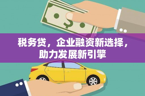 南州税务贷，企业融资新选择，助力发展新引擎