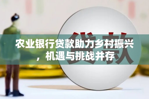南州农业银行贷款助力乡村振兴，机遇与挑战并存