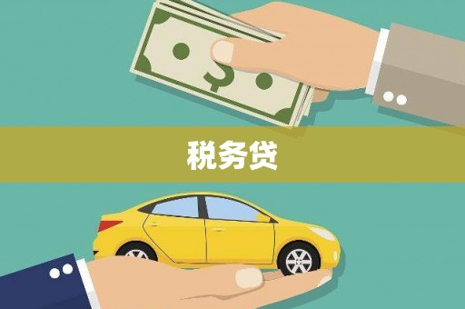 南州税务贷