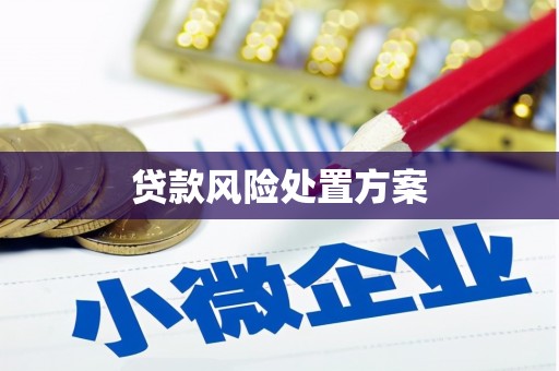 南州贷款风险处置方案