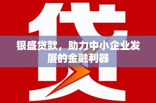 南州银盛贷款，助力中小企业发展的金融利器