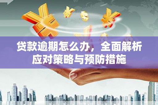 南州贷款逾期怎么办，全面解析应对策略与预防措施