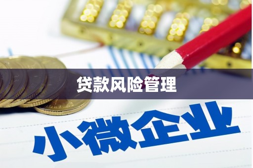 南州贷款风险管理