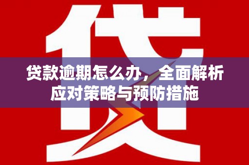 南州贷款逾期怎么办，全面解析应对策略与预防措施