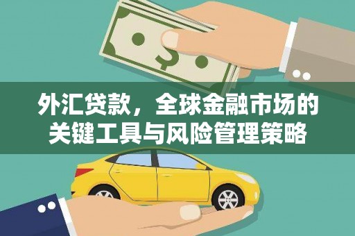 南州外汇贷款，全球金融市场的关键工具与风险管理策略