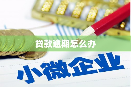 南州贷款逾期怎么办