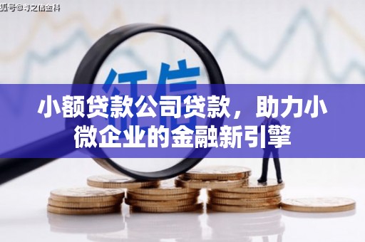 南州小额贷款公司贷款，助力小微企业的金融新引擎