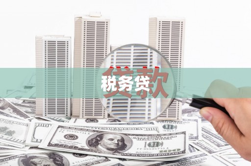 南州税务贷