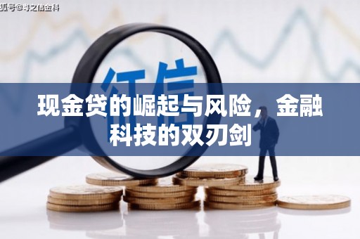 南州现金贷的崛起与风险，金融科技的双刃剑