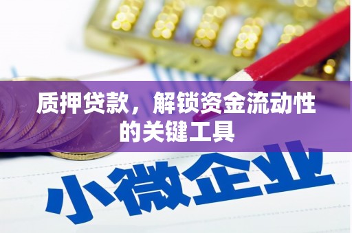 南州质押贷款，解锁资金流动性的关键工具