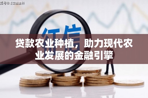 南州贷款农业种植，助力现代农业发展的金融引擎